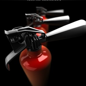 Полиграфия: Flamax